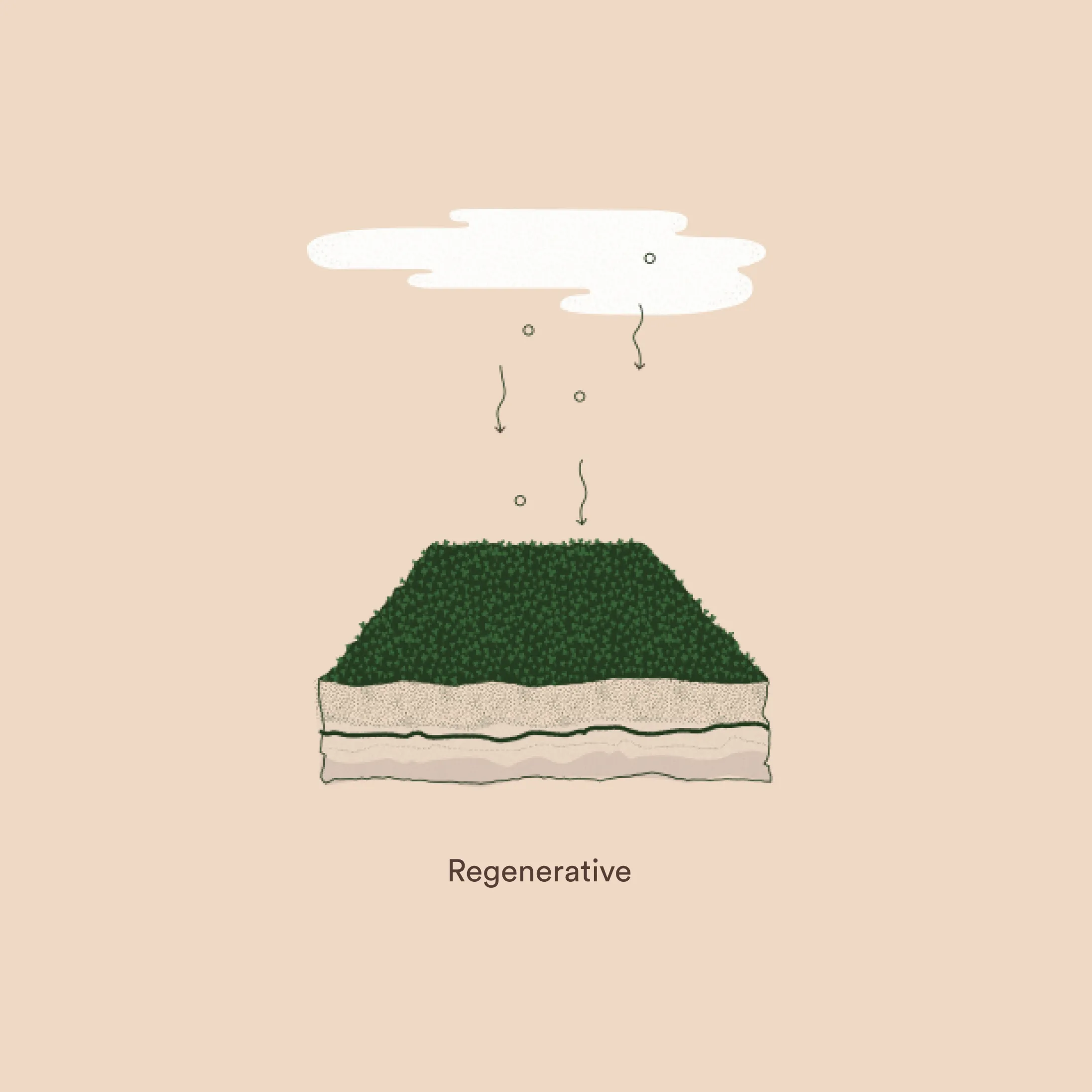 REG_Illu_Regenerative