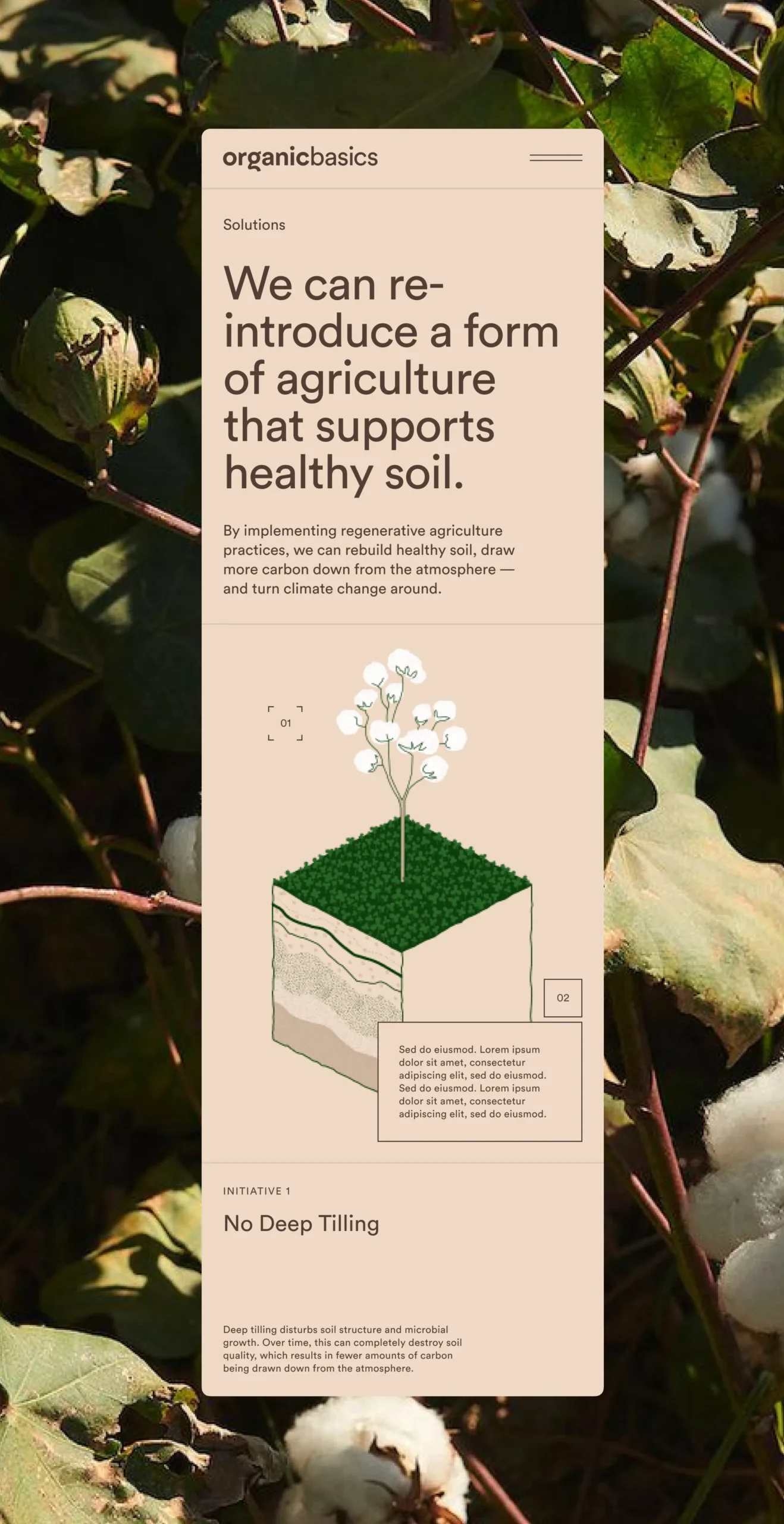 Organic Basics × WWF article with custom illustrations by Emil Lyngbo