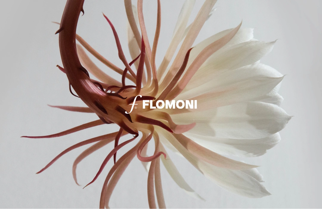 Flomoni art direction proposal