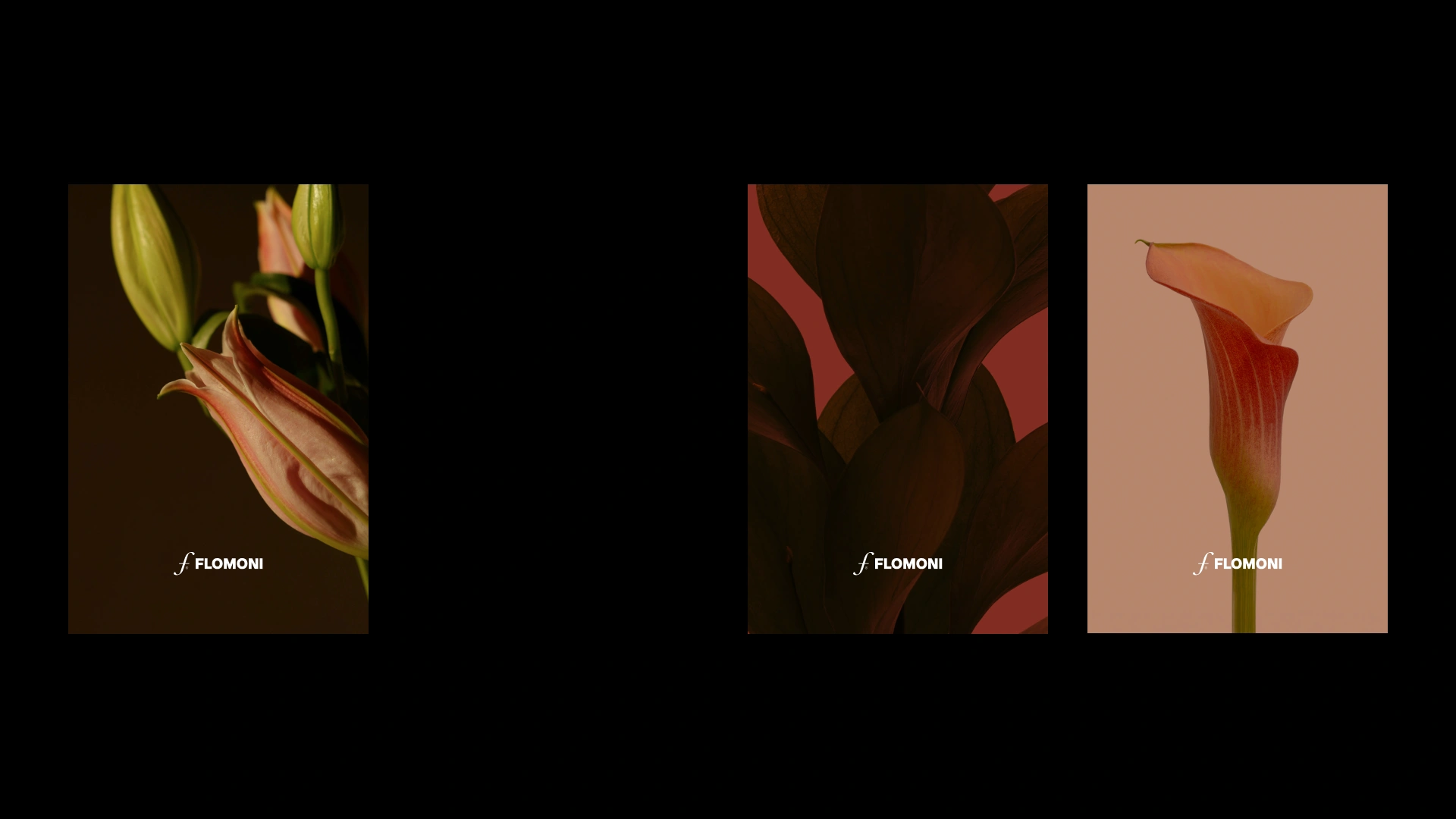Branding for Flomoni, a service for ordering flowers online